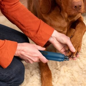 Hands trimming a dog's paw during a grooming session