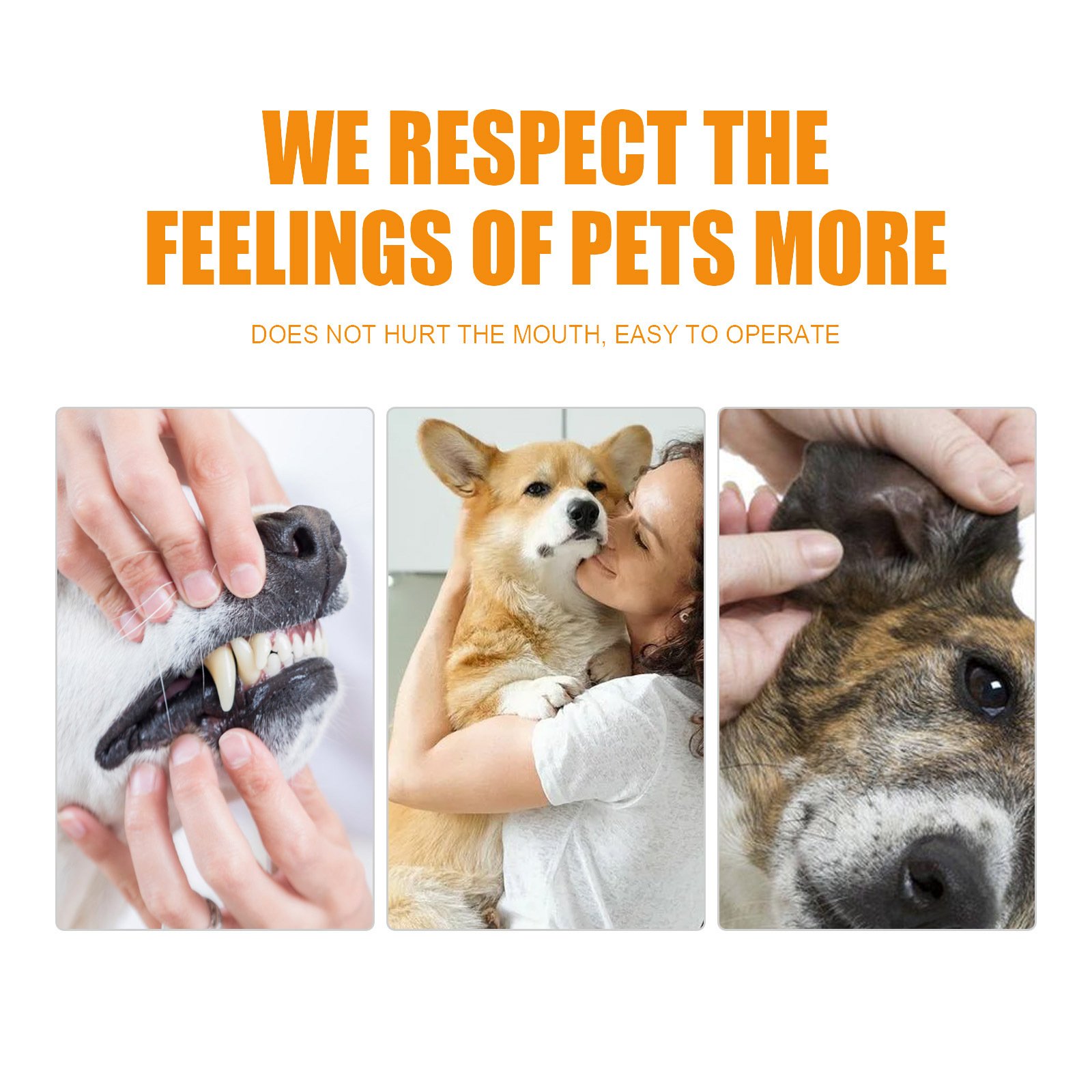 Pet Dental Finger Wipes — 50 Pack - Image 2