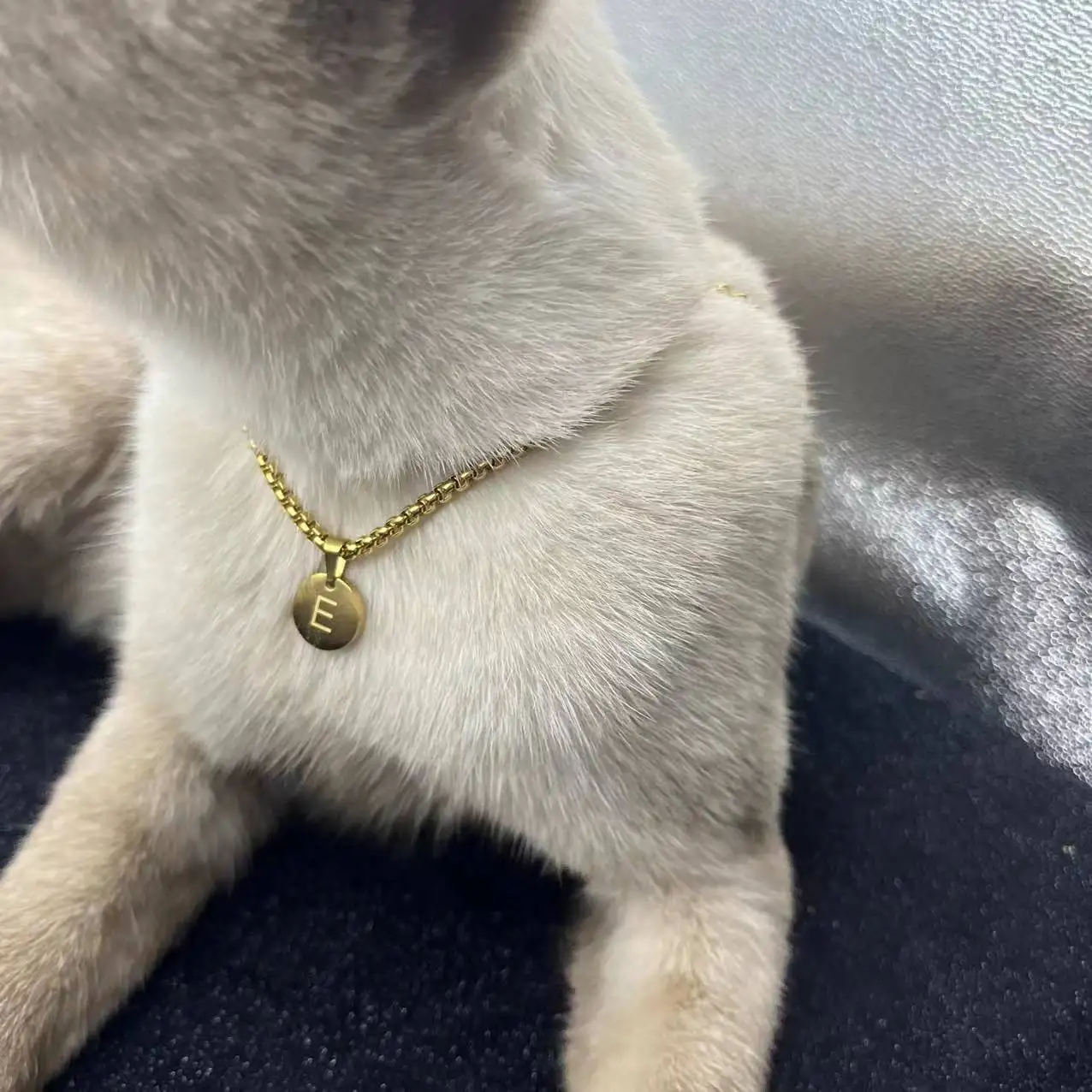 Letter Pendant Pet Necklace — A to Z - Image 4