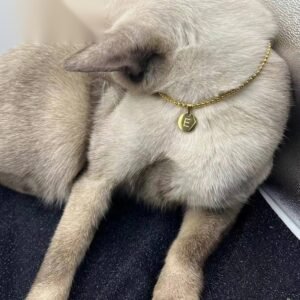 Letter Pendant Pet Necklace — A to Z
