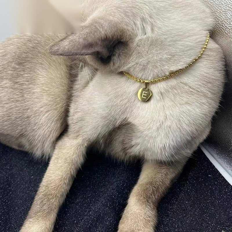 Letter Pendant Pet Necklace — A to Z
