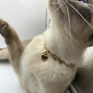 Gold Heart Charm Pet Necklace