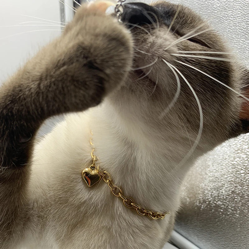Gold Heart Charm Pet Necklace - Image 4