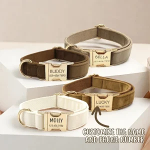 Personalized Velvet Dog Collar with Engraved ID Plate