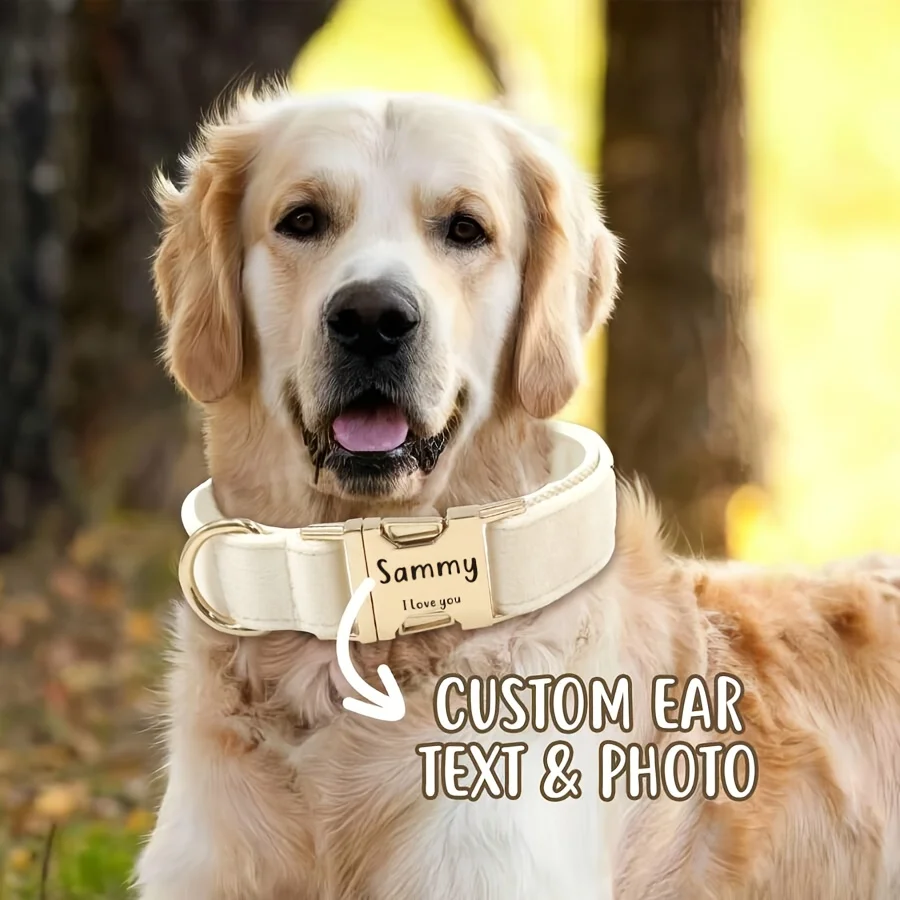 Personalized Velvet Dog Collar with Engraved ID Plate - Image 4