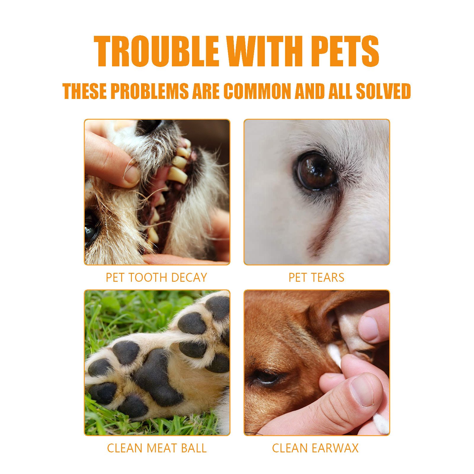 Pet Dental Finger Wipes — 50 Pack - Image 6