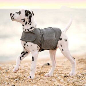 Cozy Wrap Vest