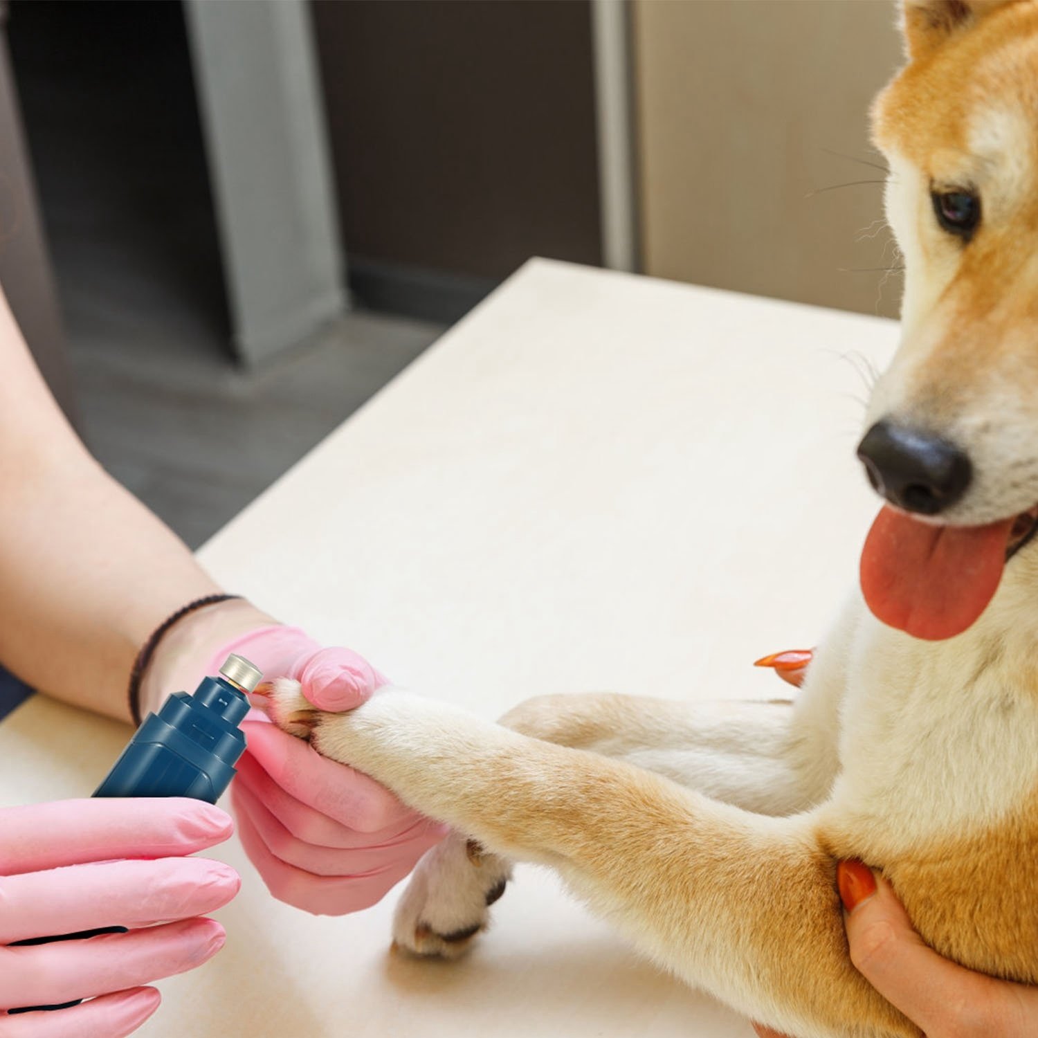 Cordless Dog Nail Grinder — 2-Speed, USB Rechargeable - Image 6