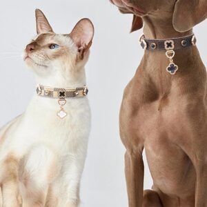 Lucky Clover Leather Pet Collar