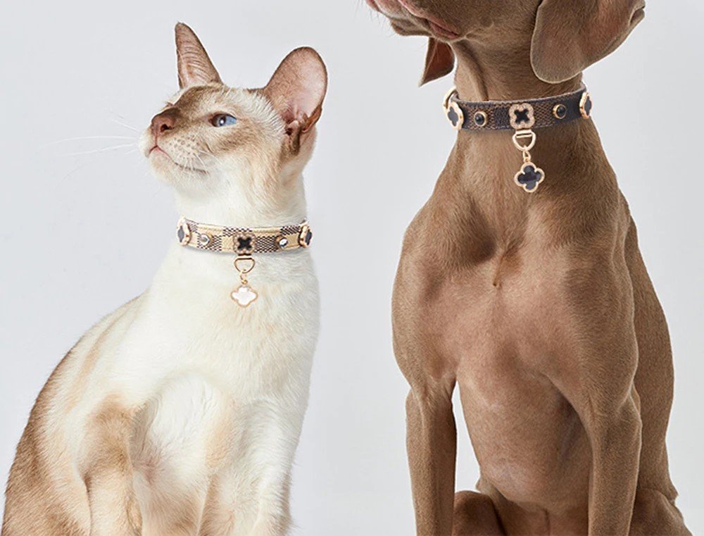 Lucky Clover Leather Pet Collar
